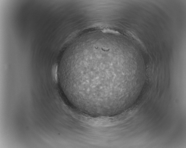 X0000072520024200607290210