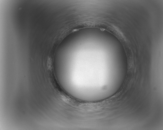 X0000072520025200607290210