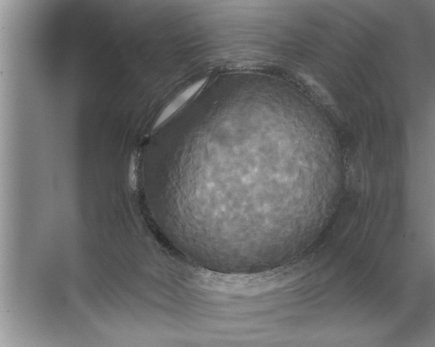 X0000072520026200607290210