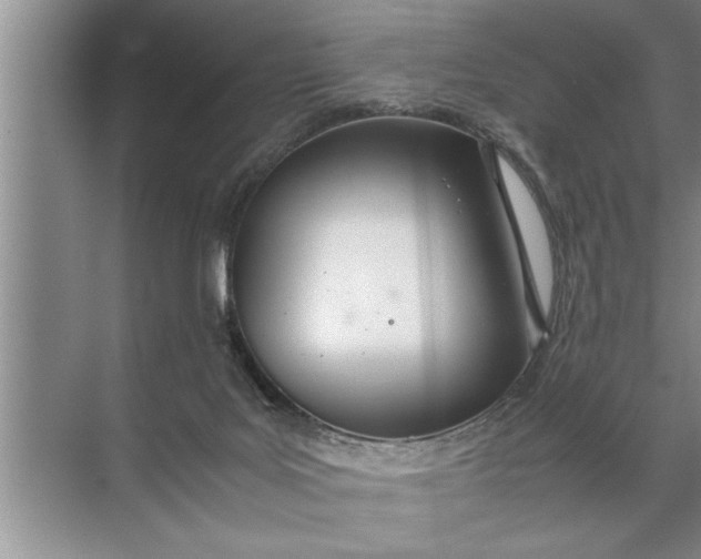 X0000072520027200607290210