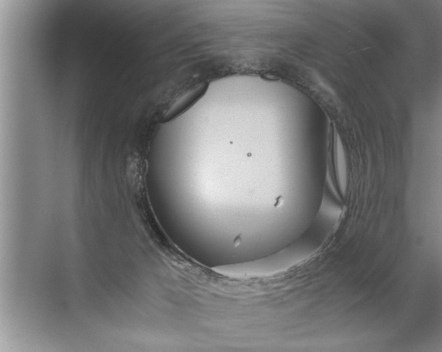 X0000072520029200607290210