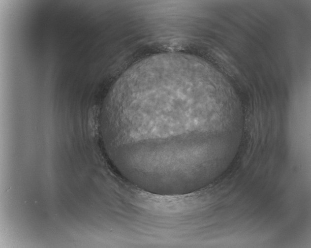 X0000072520030200607290210