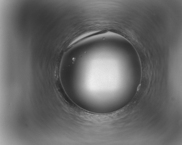 X0000072520031200607290210