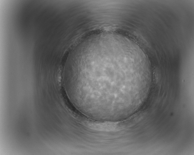 X0000072520032200607290210