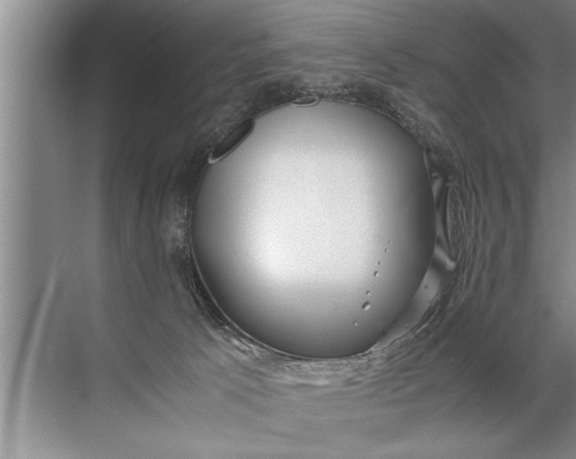 X0000072520033200607290210