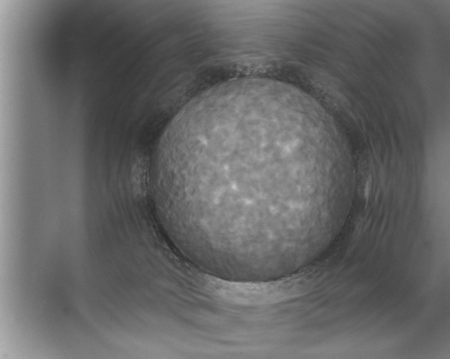 X0000072520034200607290210