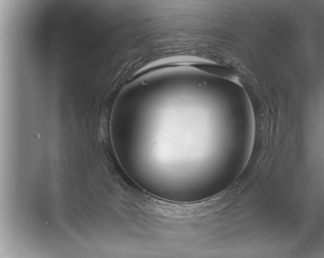 X0000072520035200607290210