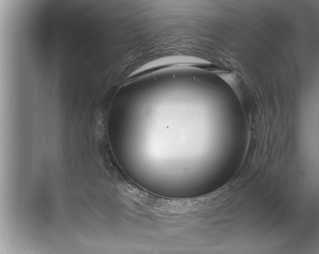 X0000072520037200607290210