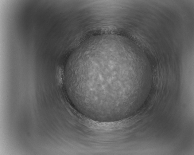 X0000072520038200607290210