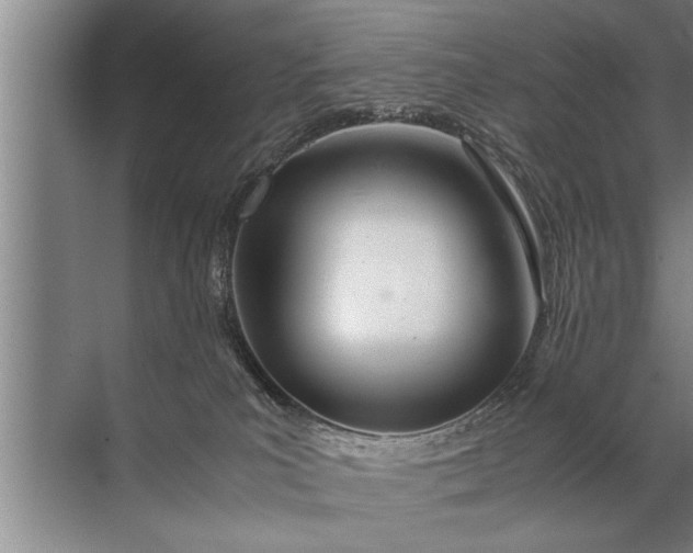 X0000072520039200607290210