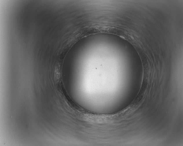 X0000072520040200607290210