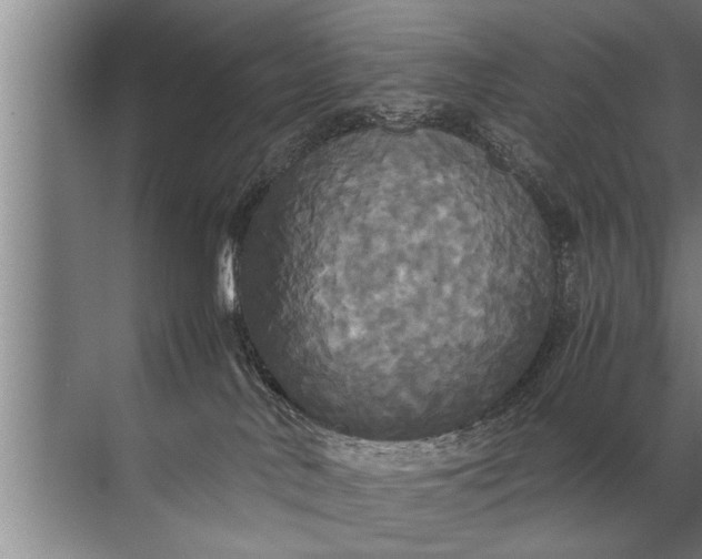 X0000072520042200607290210