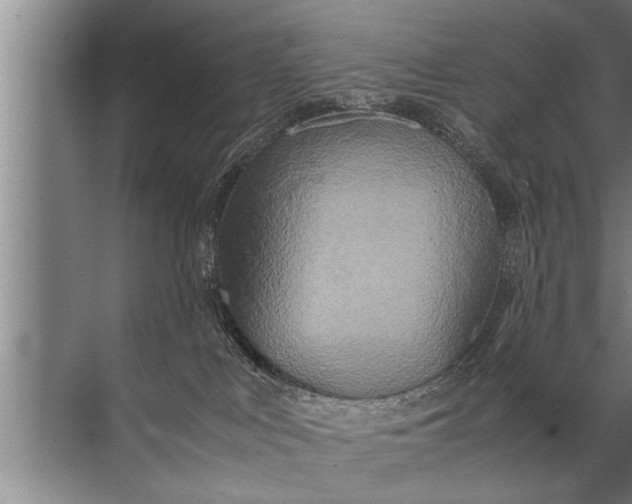 X0000072520043200607290210