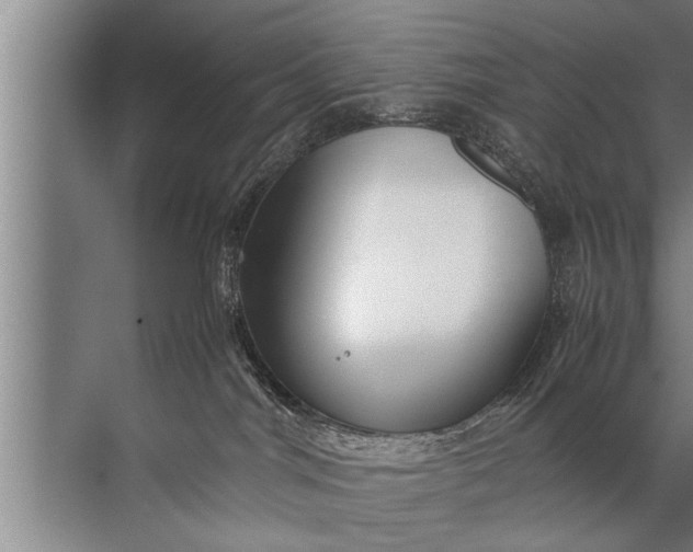 X0000072520044200607290210