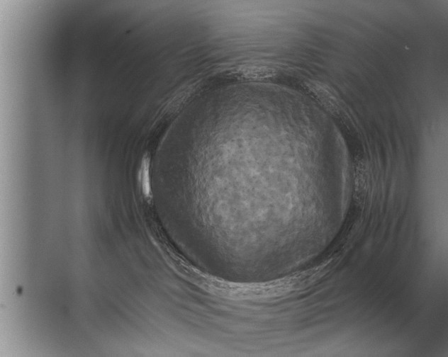 X0000072520046200607290210