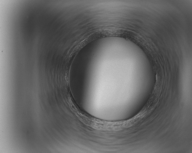 X0000072520048200607290209