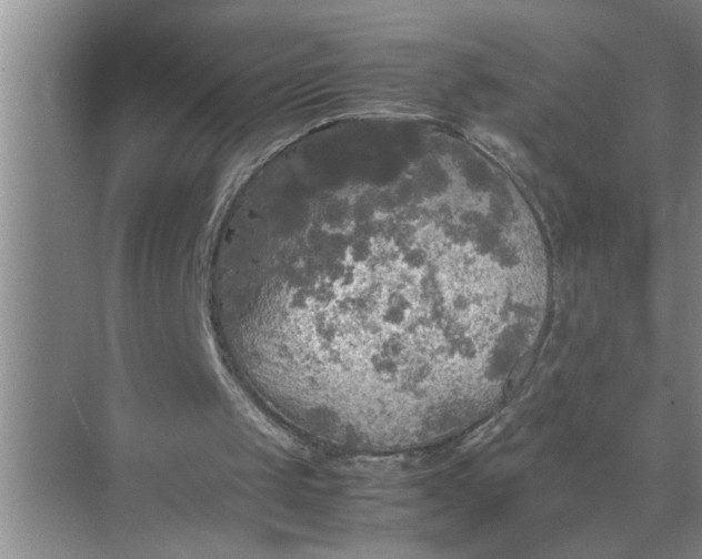 X0000072520049200607290209