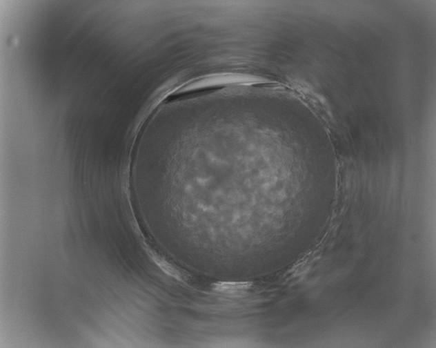 X0000072520051200607290209