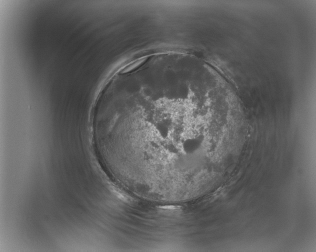 X0000072520053200607290209