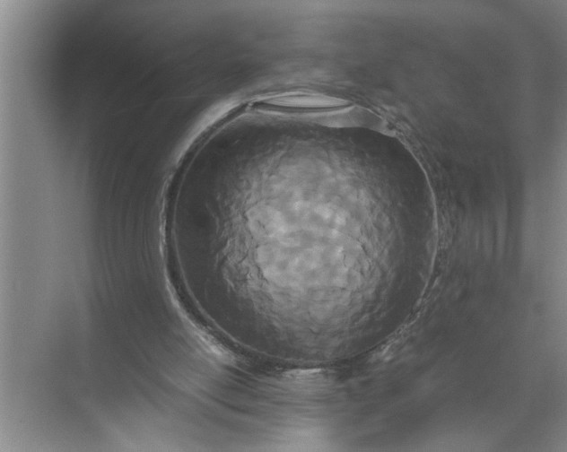 X0000072520054200607290209