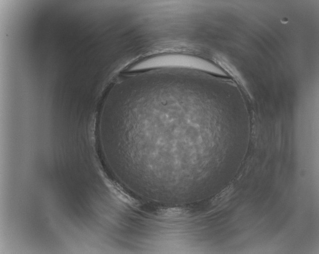 X0000072520058200607290209