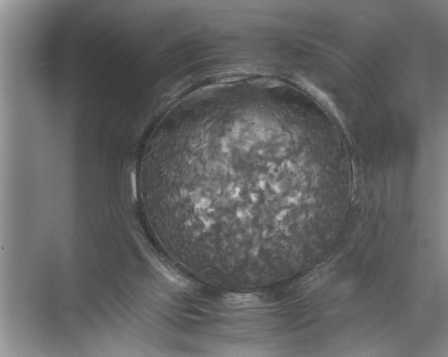 X0000072520061200607290209