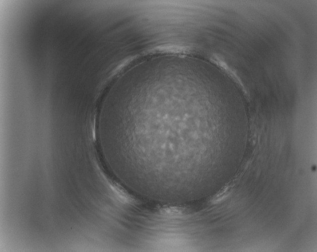 X0000072520062200607290209