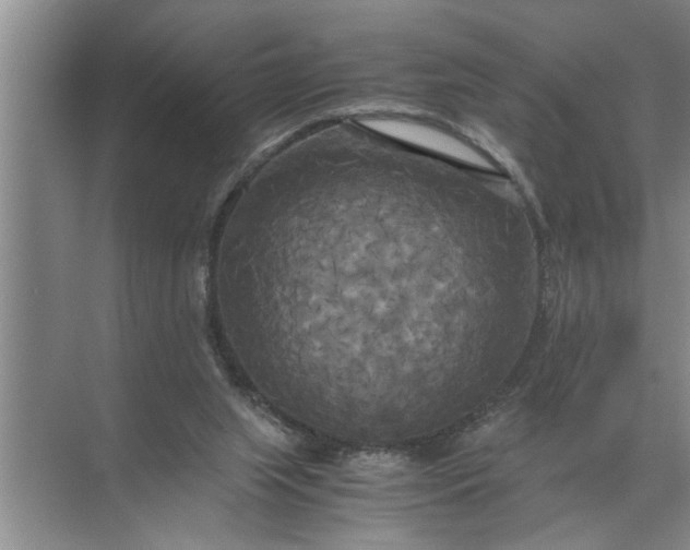 X0000072520063200607290209