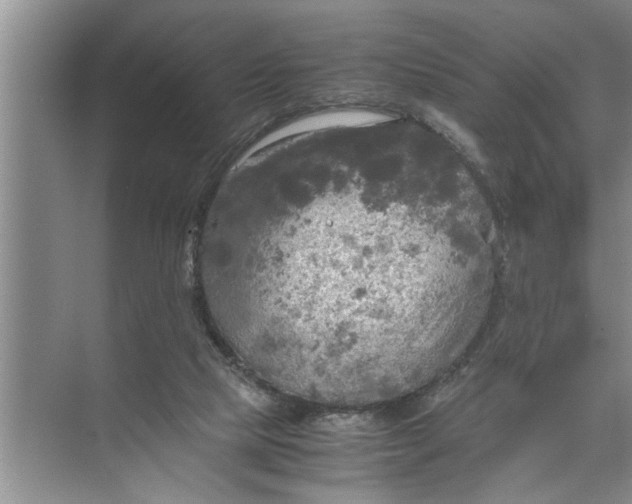 X0000072520065200607290209