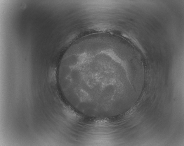 X0000072520066200607290209