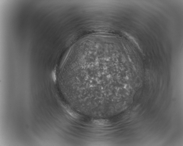 X0000072520069200607290209