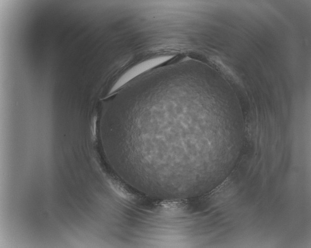 X0000072520070200607290209