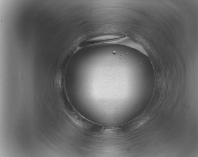 X0000072520072200607290209