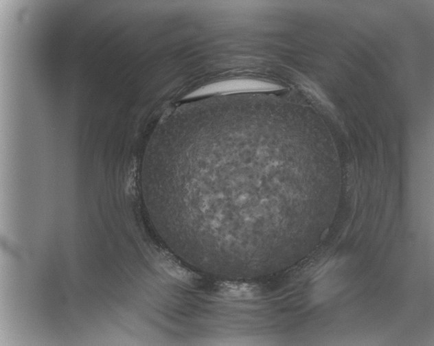 X0000072520073200607290209