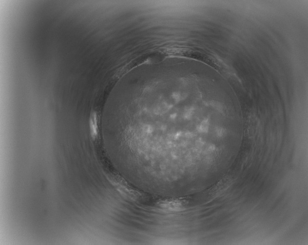 X0000072520075200607290209