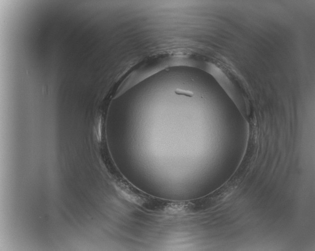 X0000072520076200607290209