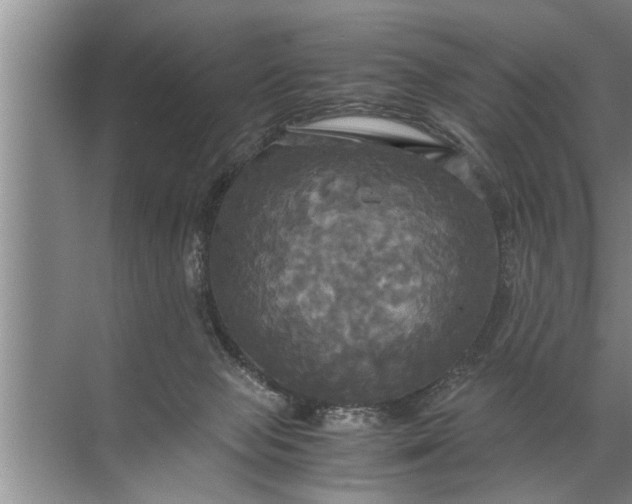 X0000072520077200607290209