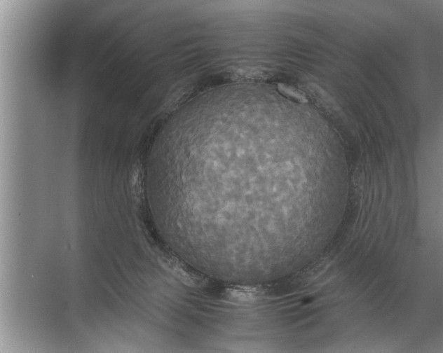 X0000072520079200607290209