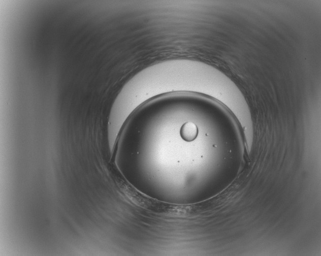 X0000072520080200607290209