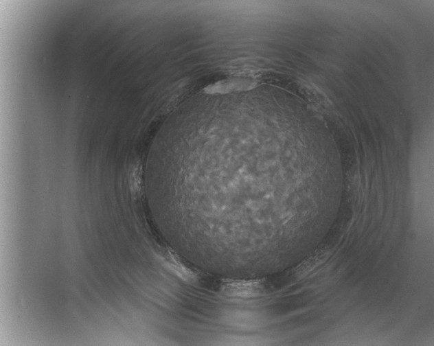 X0000072520081200607290209