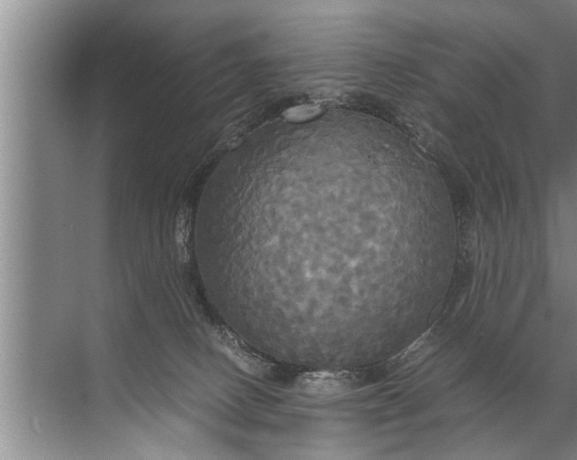 X0000072520082200607290209