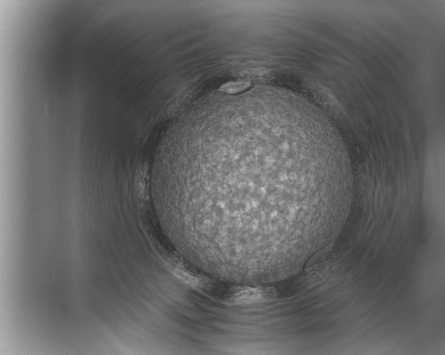 X0000072520083200607290209