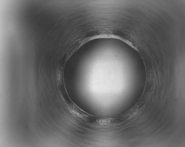 X0000072520084200607290209