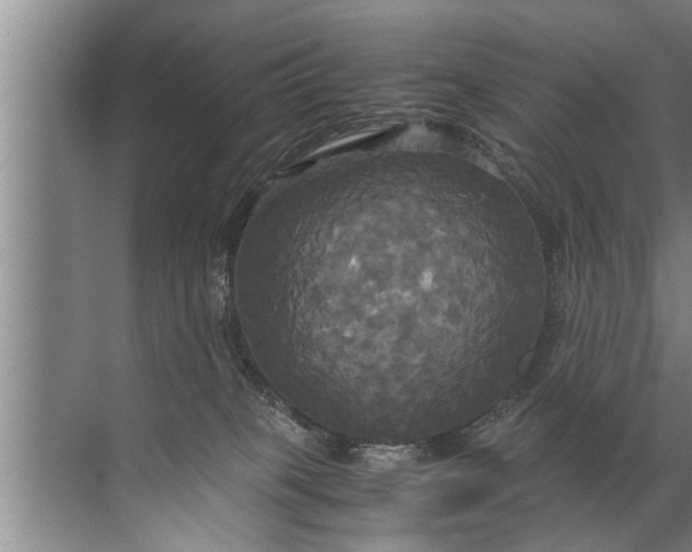 X0000072520085200607290209