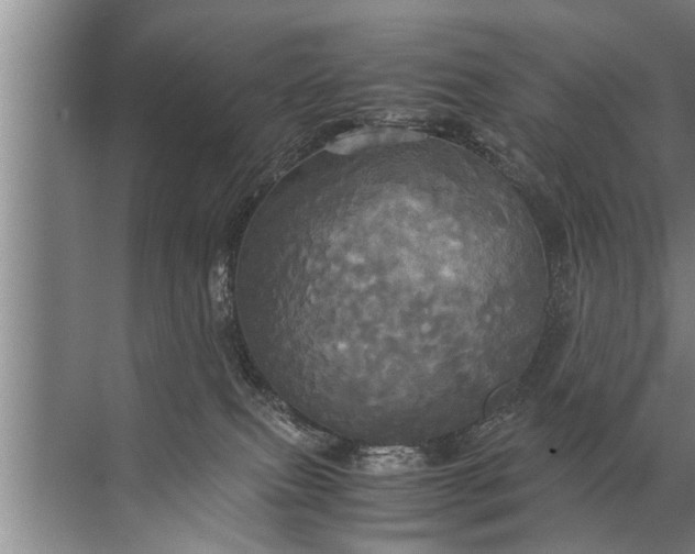 X0000072520087200607290209