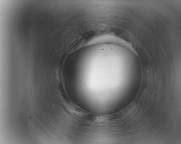 X0000072520088200607290209