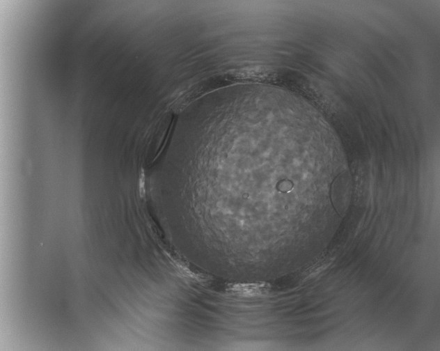 X0000072520089200607290209