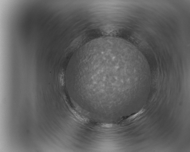 X0000072520090200607290209