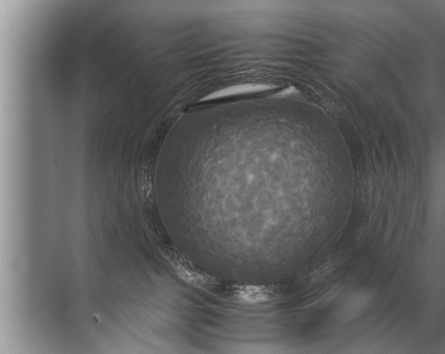 X0000072520091200607290209