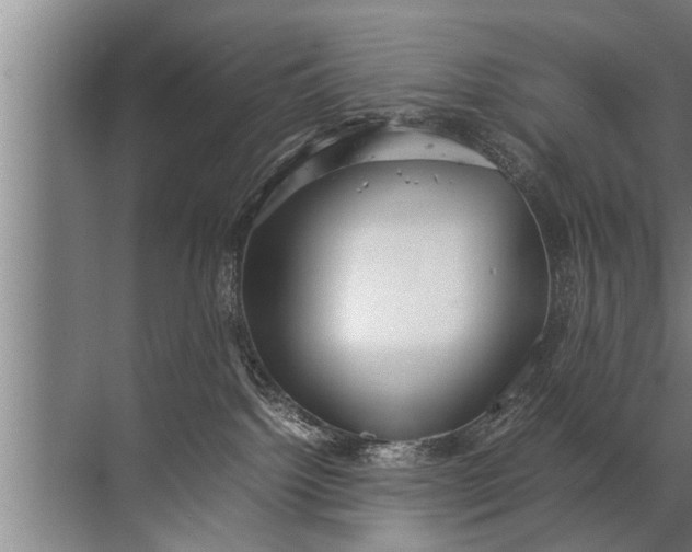 X0000072520092200607290209